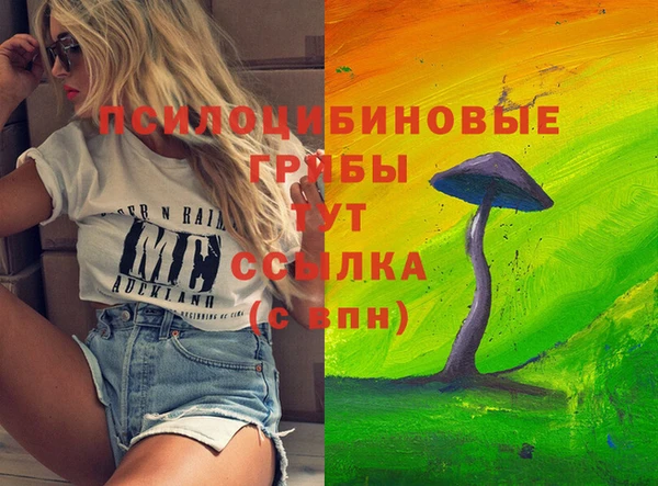 2c-b Алексин