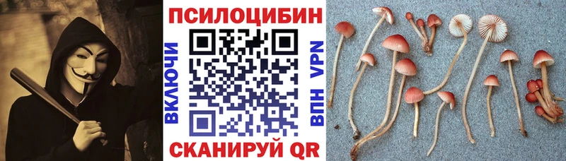 MEGA ТОР  Богучар  Галлюциногенные грибы Magic Shrooms 