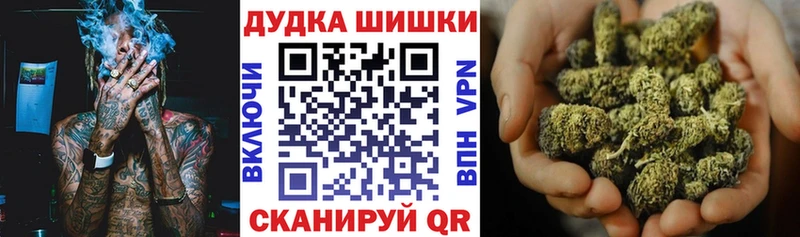 Конопля план  Богучар 